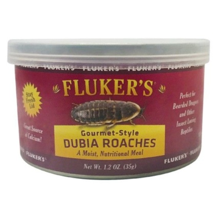 Flukers Gourmet Style Dubia Roaches