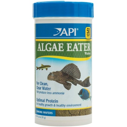 API Algae Eater Premium Algae Wafers