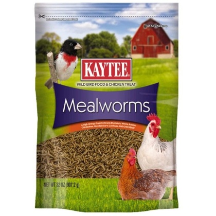 Kaytee Mealworms Bird Food