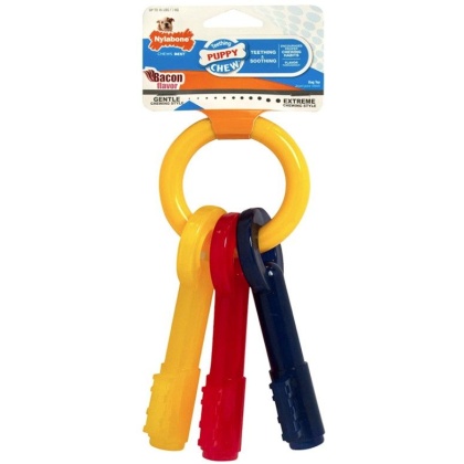 Nylabone Puppy Chew Teething Keys Chew Toy