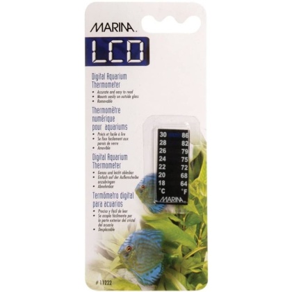 Marina Meridian Thermometer