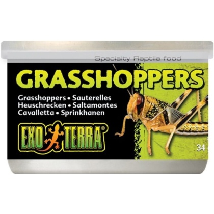 Exo-Terra Grasshoppers Reptile Food